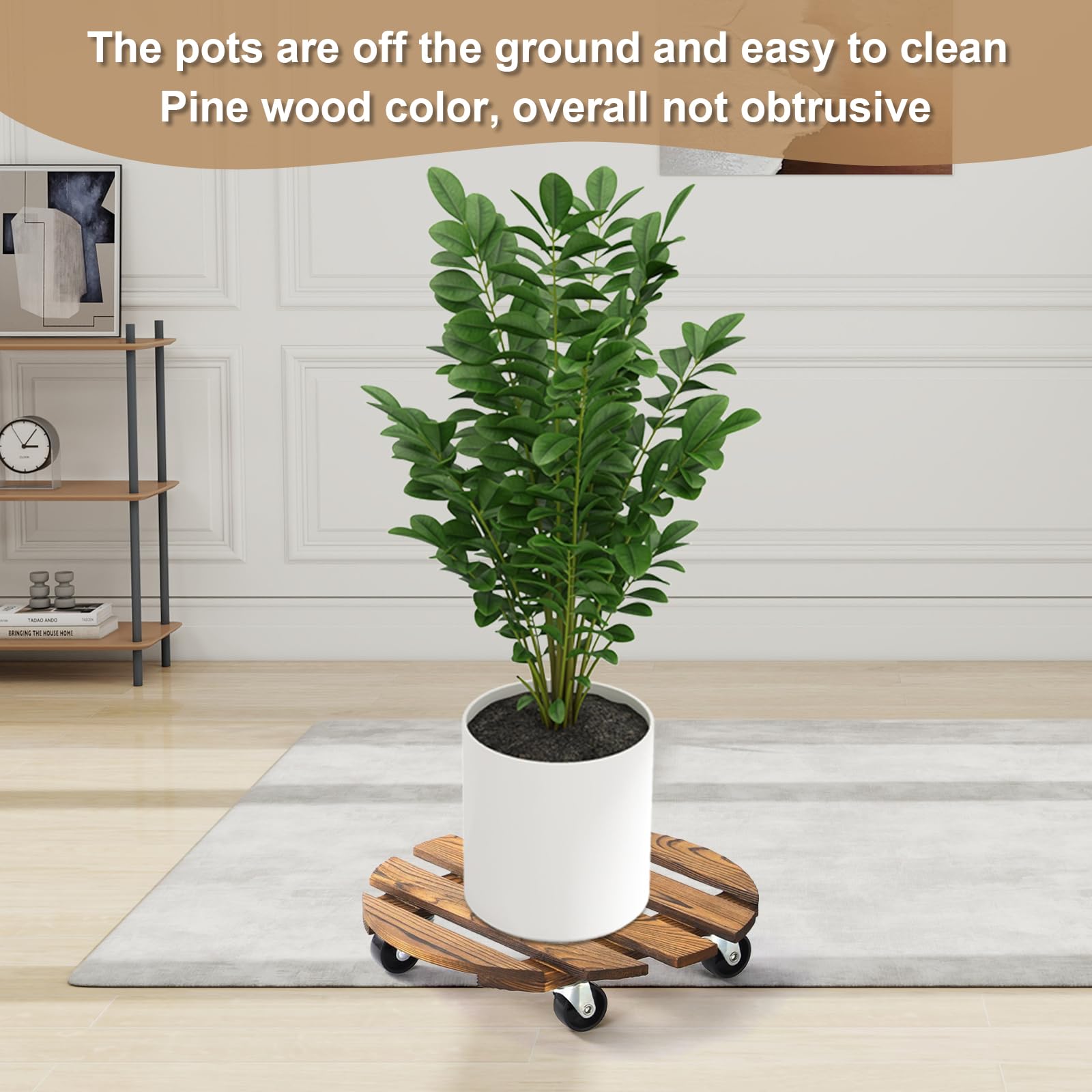 bechoanigel Plant Roller, 30 x 6.5 cm Rolling Board Plants, 80 kg Load Capacity - Image 4