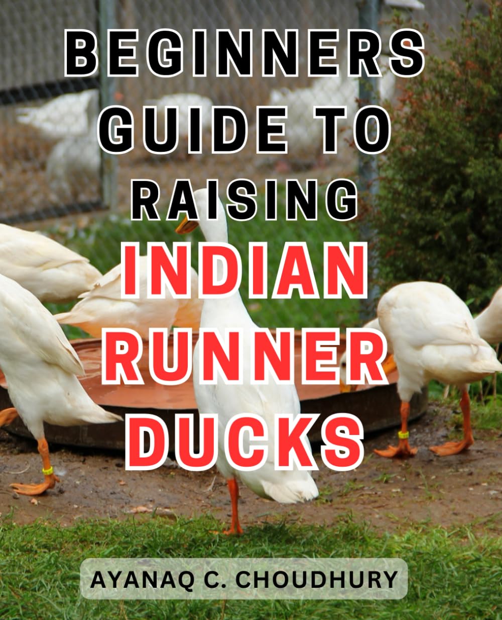 Beginners Guide to Raising Indian Runner Ducks: The Essential Manual to Successfully Nurturing Indian Runner Ducks: A Step-by-Step Beginner's Handbook