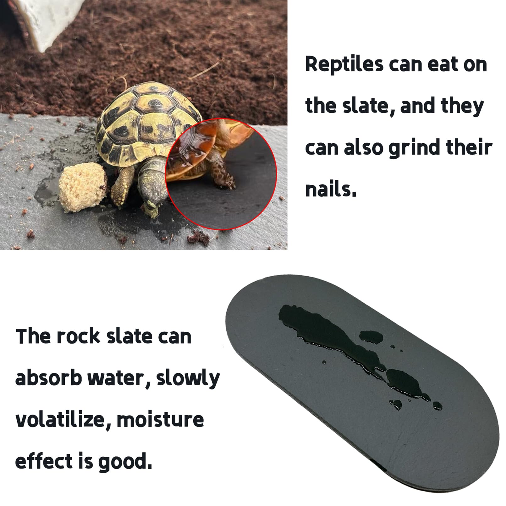 Futternapf & Sonnenplattform Aus Schiefer Für Reptilien | 7,9 X 7,9 Cm, Aus Kunstharz | Für Schildkröten & Echsen