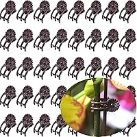 Vista 6 de Clips de Orquídea para Soporte de Plantas (100, Verde) para Plantas Trepadoras Pequeñas a Medianas, Plantas de Vid y Plantas de Un Solo Tallo