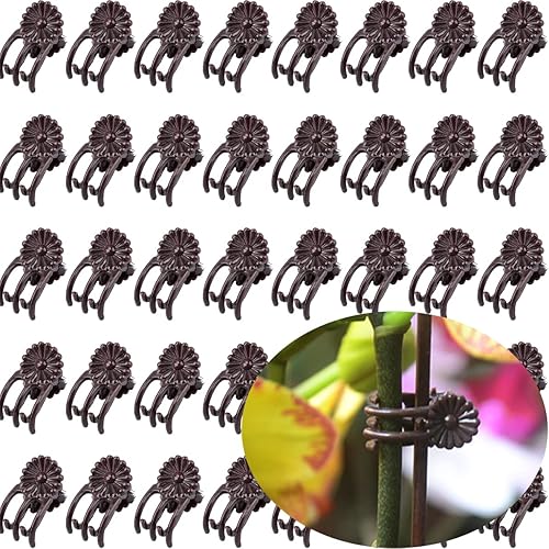 Miniatura 1 de Clips de orquídea para plantas (100, marrón) para plantas trepadoras pequeñas y medias, plantas de vid y plantas de tallo único