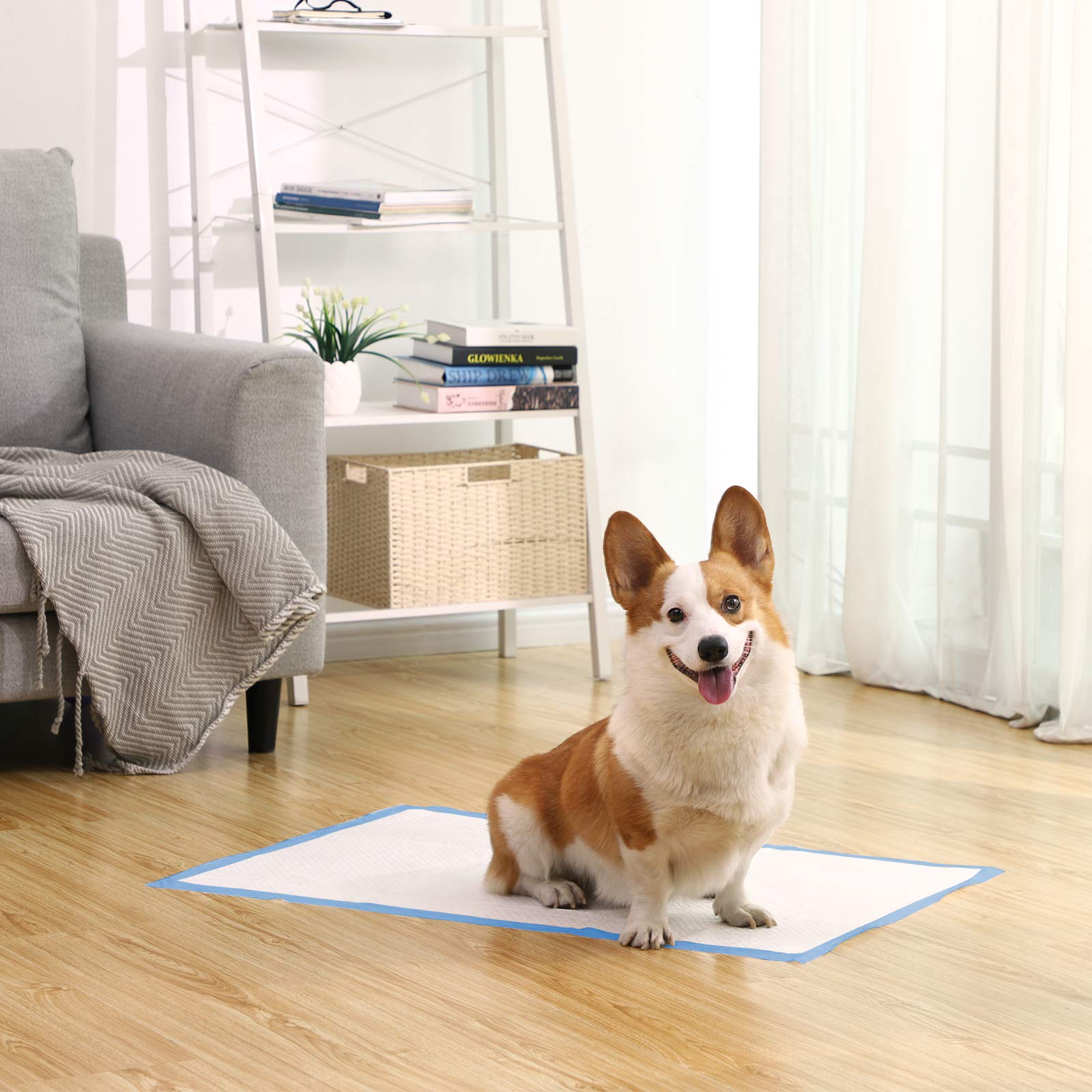 FEANDREA Puppy Pads, Welpen-Unterlage, 90 x 60 cm, 55 Stück, blau-weiß PTD95BU