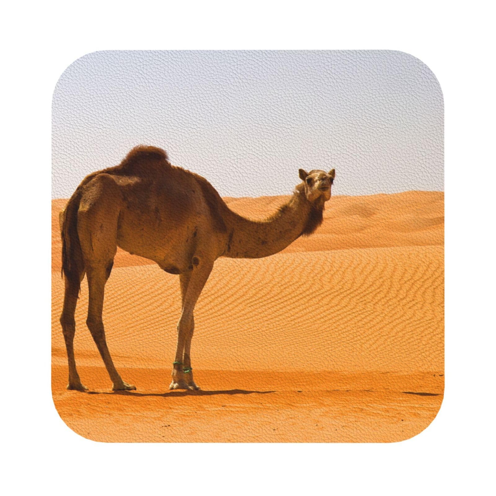Desert Sand Camel PU Leather Coasters Set of 6 Square Drink Coasters