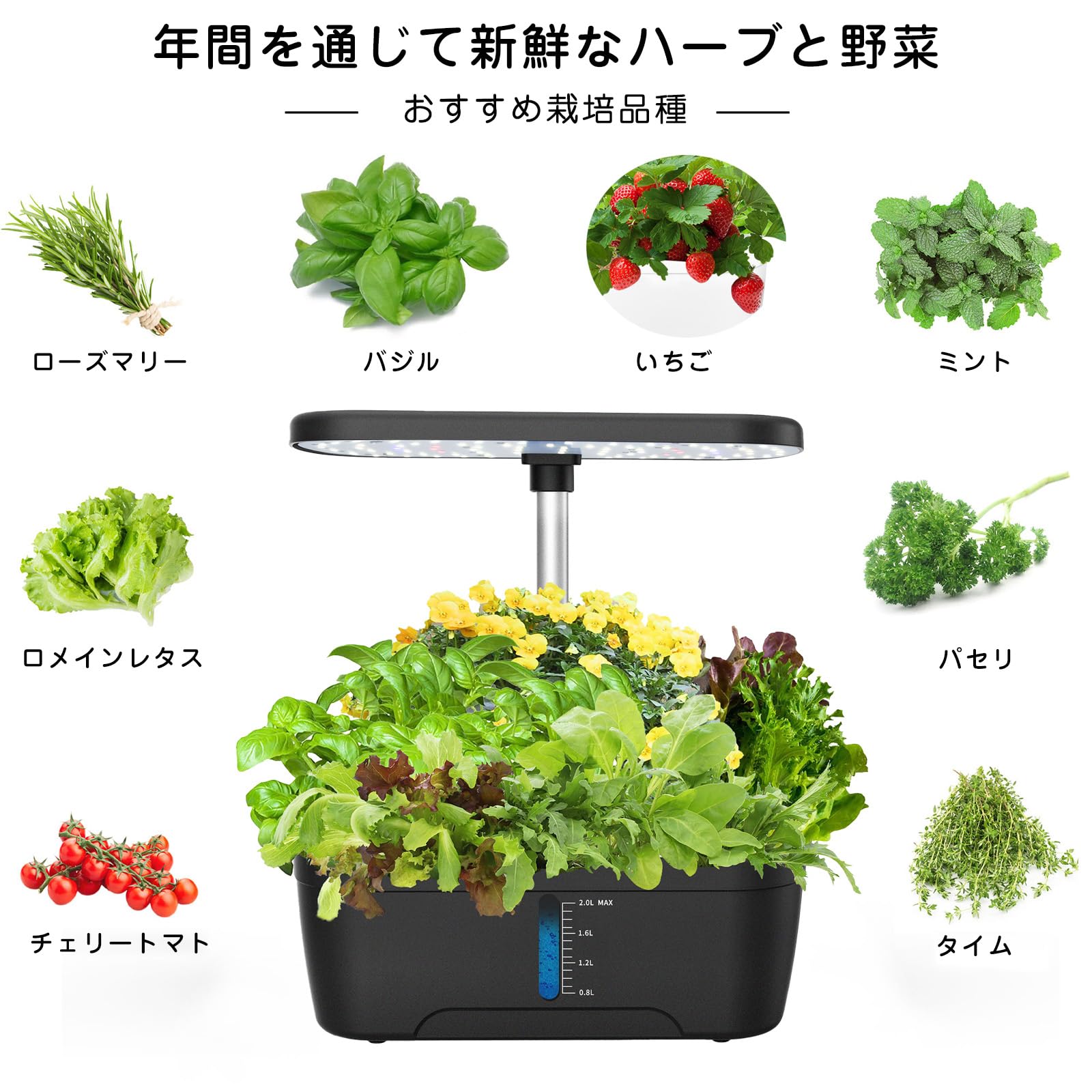 セット 室内 植物育成LEDライト付き 水耕栽培 Amazon.co.jp: 水耕栽培キット 水耕栽培 セット 室内 植物育成