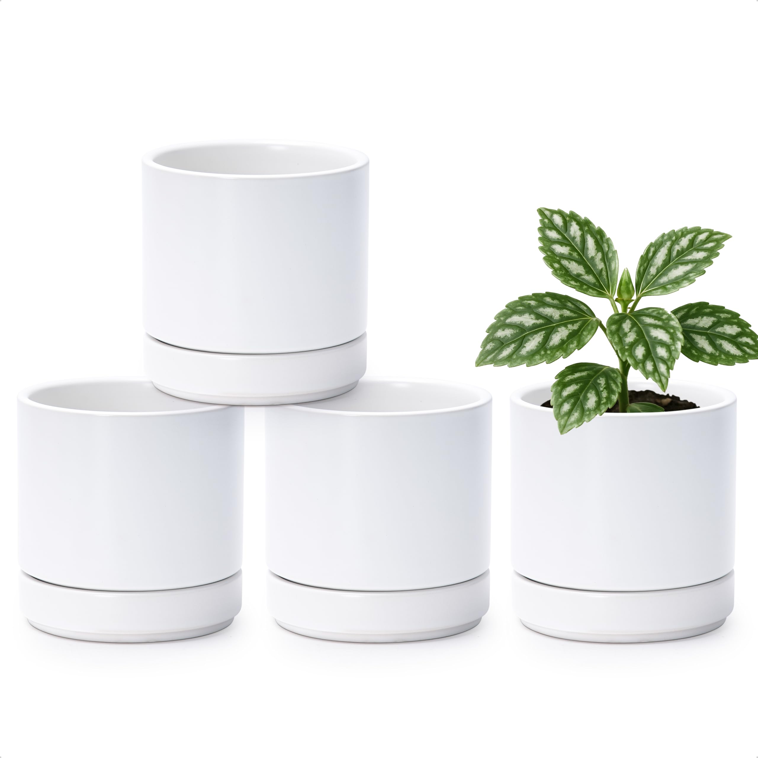 D'vine Dev Set of 4 Small Ceramic Plant Pots