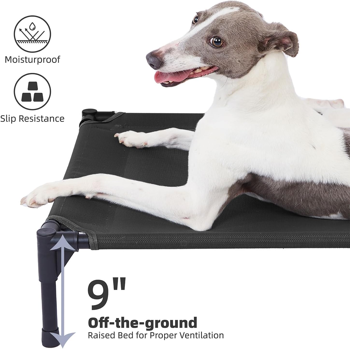 Cool Comfort: Review of Pettycare