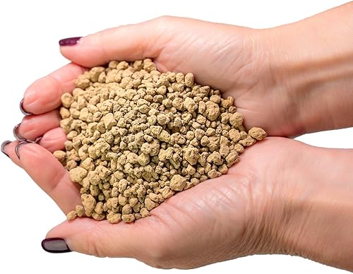 Miniatura 5 de Mezcla de suelo de anturio de alta calidad, mezcla perfecta para plantas de anturio prósperas, 1 cuarto de galón