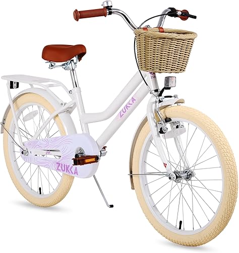 Bicicleta para niñas con canasta, bicicleta de crucero retro de 20 pulgadas para niños de 7 a 13 años, bicicleta para niños grandes con guardabarros