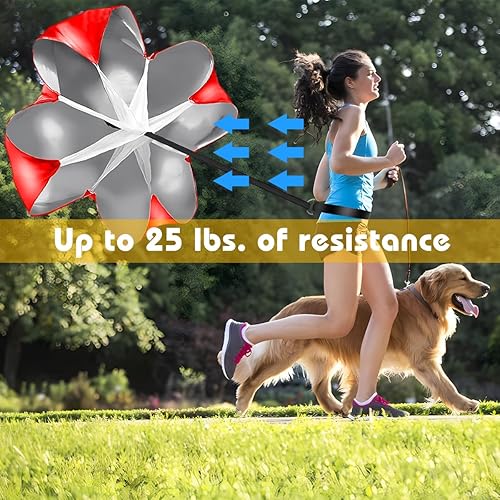 Miniatura 5 de Juego de entrenamiento de agilidad de velocidad de fútbol, escalera de agilidad de 20 pies, conos deportivos 1216 y entrenador de patada de fútbol,