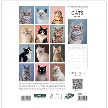ドレジャー CATS 2024年 スモールカレンダー 壁掛け モノクロ 2024（2025）年 カレンダー【モノクロ タイポグラフィ・A4タテ