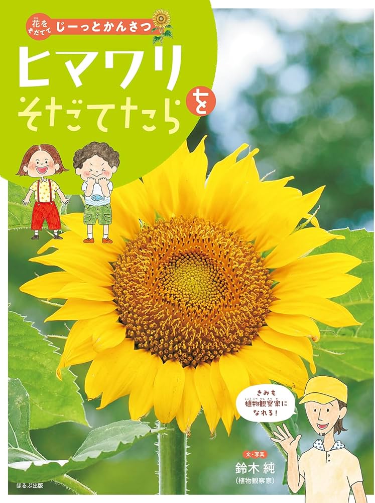 ひまわり★プロフ&商品説明必読です★ ヒマワリをそだてたら (花をそだててじーっとかんさつ) | 鈴木 純
