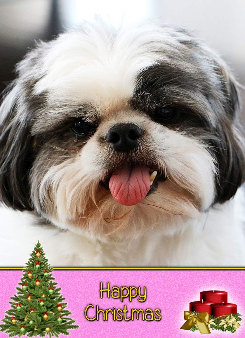 Bulldog In A Santa Hat Bulldog Outlline Christmas Card, Animal Line - View #8