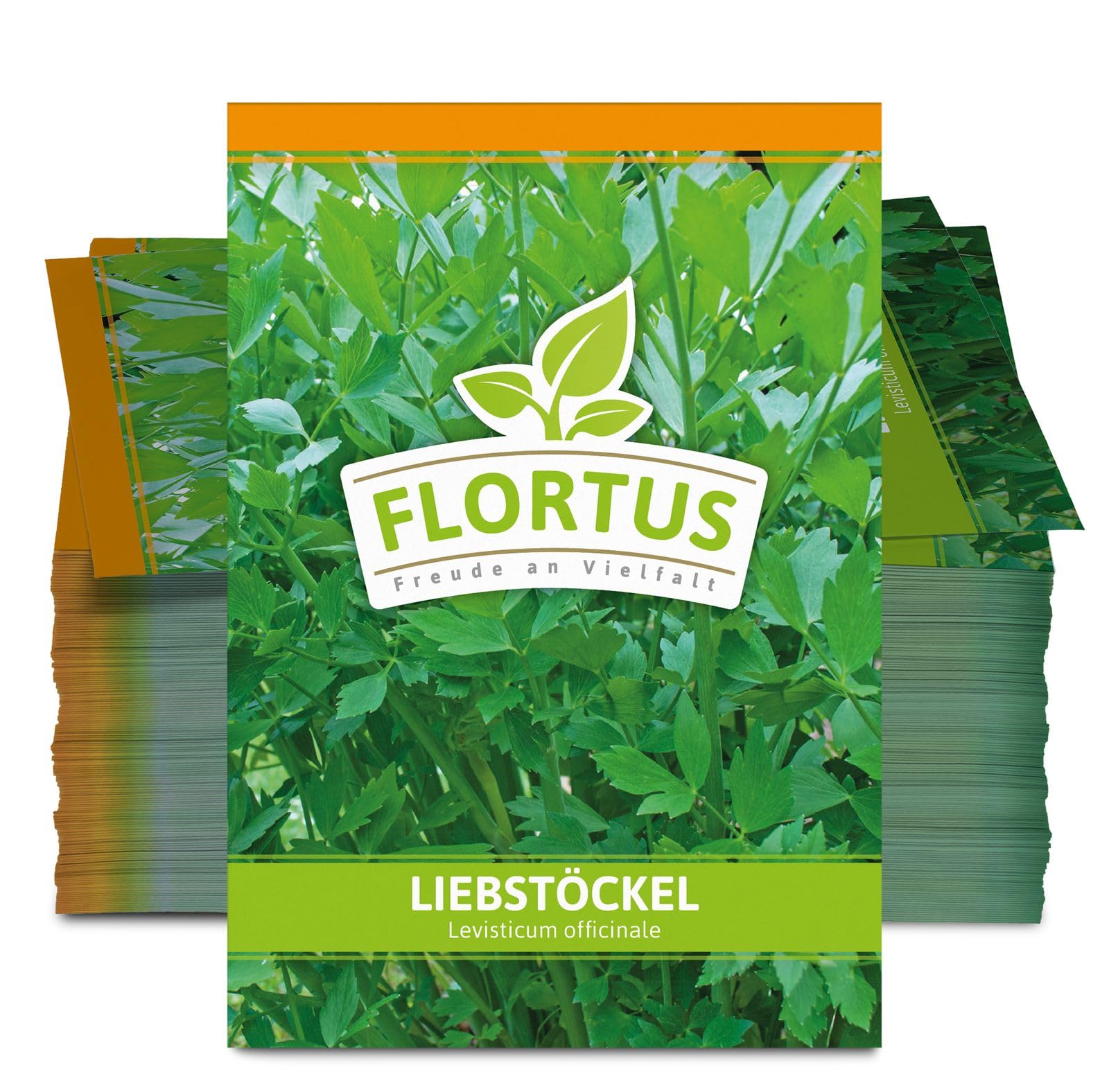 FLORTUS 2000-0052-100x Liebstöckel (100 Tütchen) (Liebstöckelsamen)