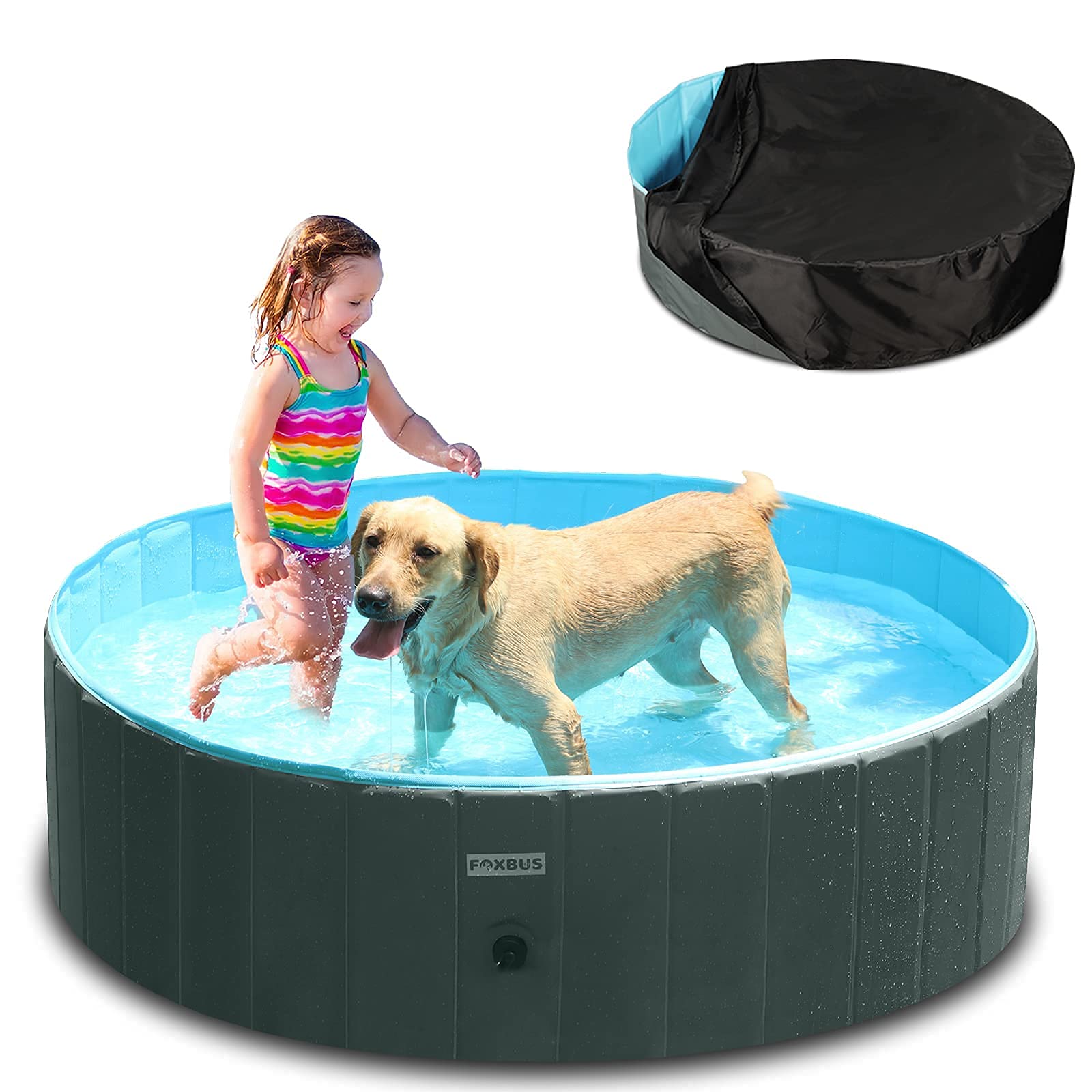 Buy Foldable Dog Pool Portable Hard Plastic Kiddie Pool with Pool