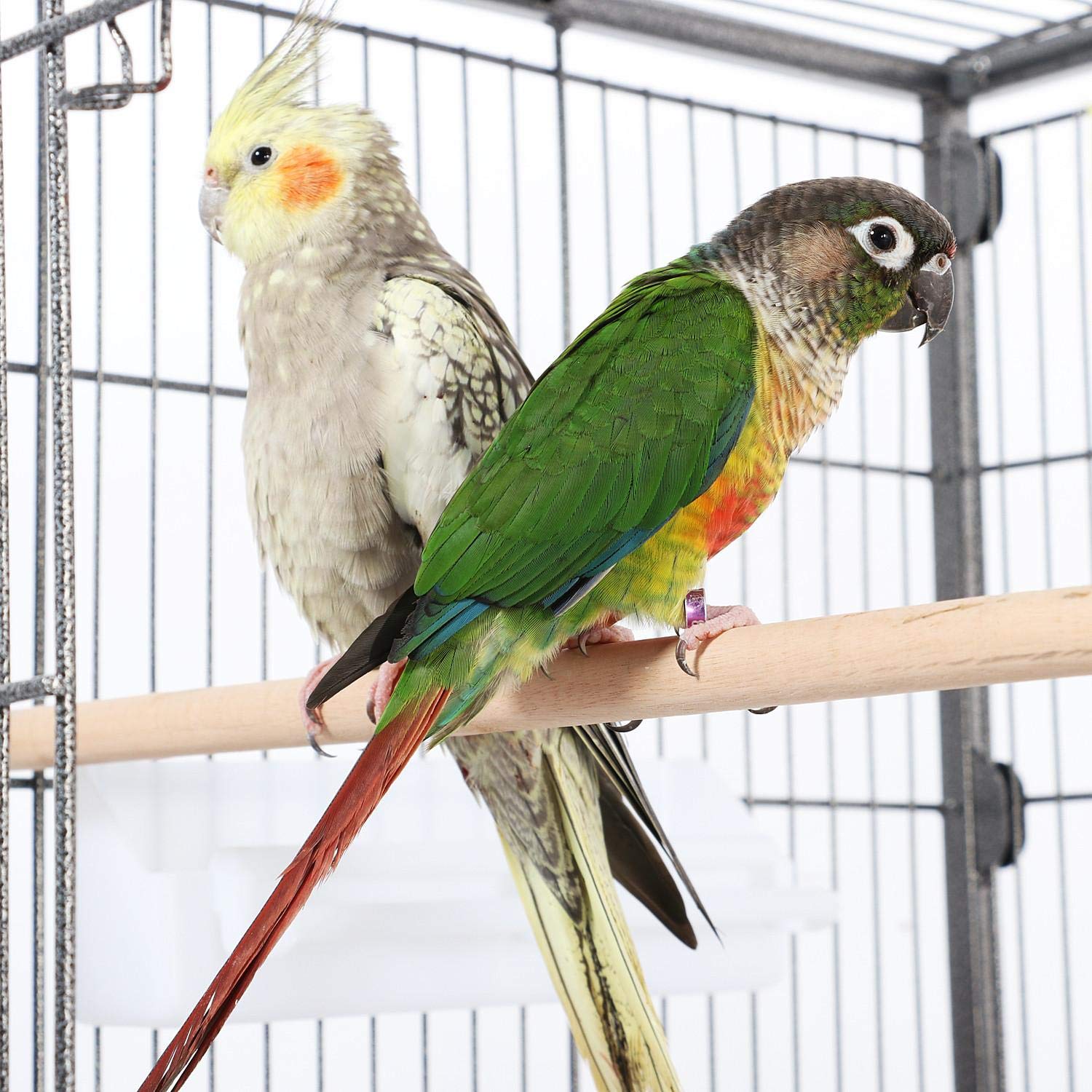 Yaheetech Vogelvoliere Vogelkäfig 2 Türen Vogelhaus Käfig mit 4 Rollen Nagervoliere 131cm hoch