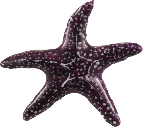 Miniatura 6 de Estrella de mar, Pez Estrella, Estrella de Mar, Playa, Océano, Estrellas quebradizas, Estrellas Canastas, Náutica, Solapa, Pines, Broche, Peltre