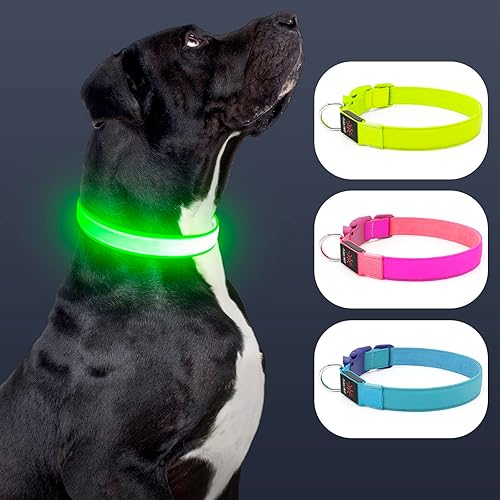 Miniatura 2 de Collar de perro con luz LED, recargable por USB, tamaño ajustable, correas de nailon resistente, collares básicos de seguridad para perros grandes y