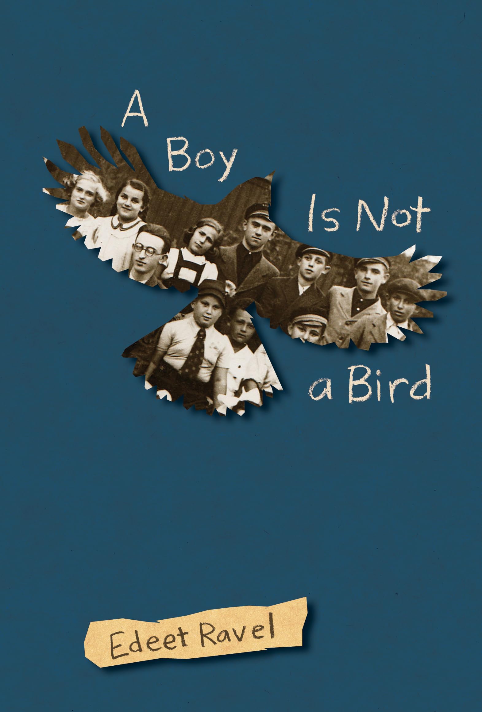 Buy A Boy Is Not a Bird — BookShops.in