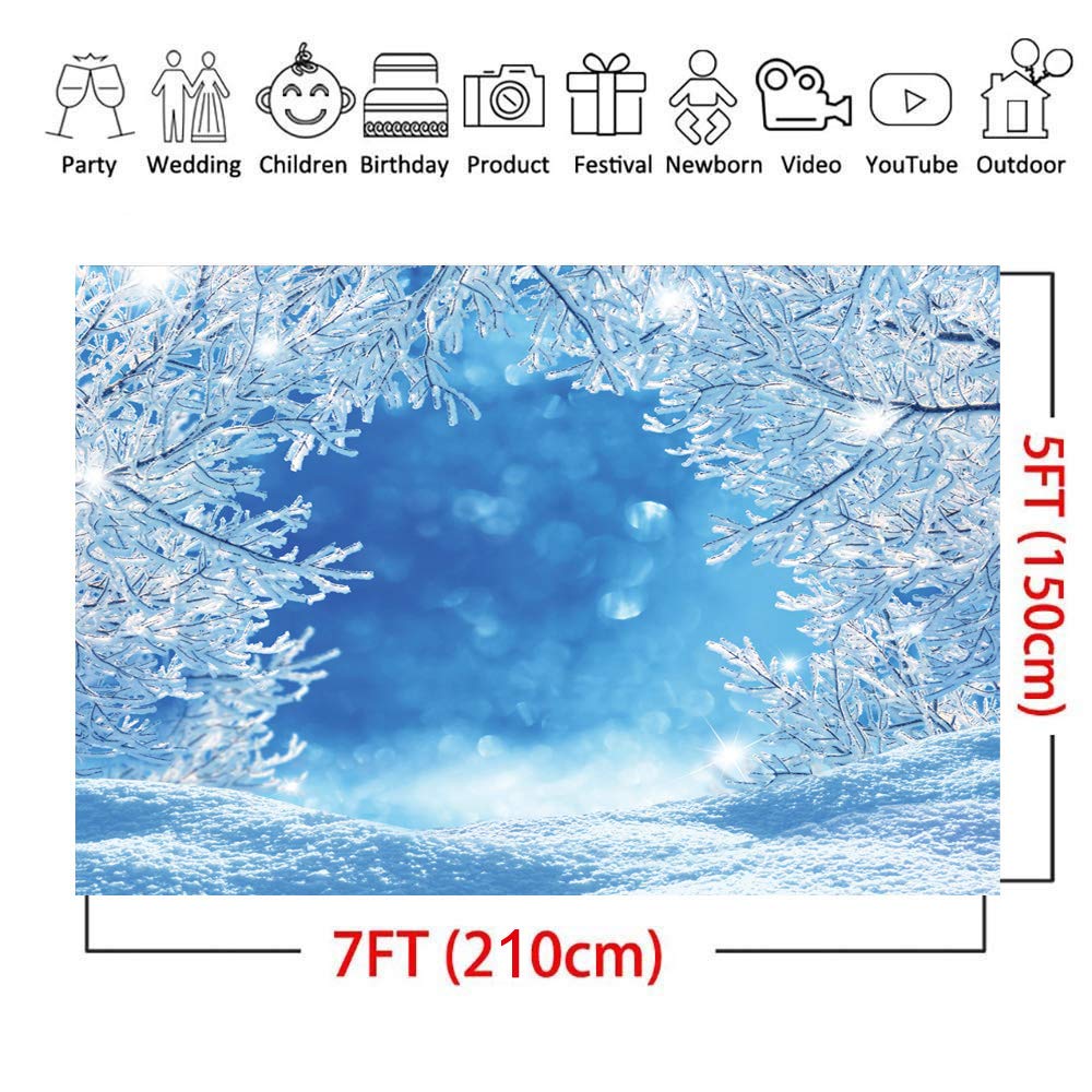 Toile De Fond Photographie Noël 3x3m LYWYG - Neiges Congelées Et Cristaux De Glace Pour Enfants Et Studio Photo