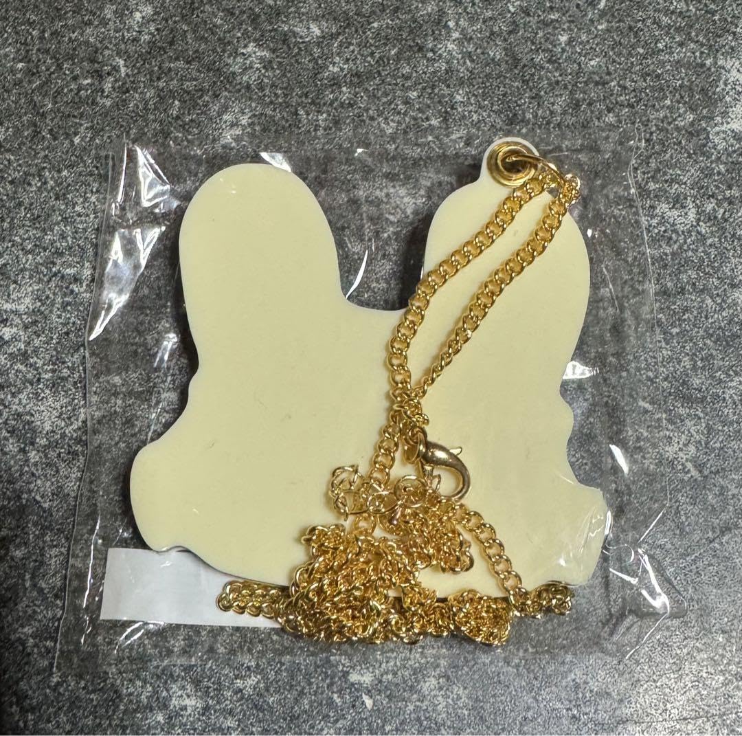 Amazon.co.jp: 道重さゆみ さゆうさネックレス型ミラー : ホーム