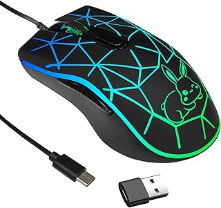 IULONEE Wired Gaming Mice Ergonomic USB Type C Mouse Silent Click RGB 7 Colors Backlit Optical Mice 2400 DPI Mouse for USB Type C Devices Windows PC Computer Mac Laptop Desktop (Black)