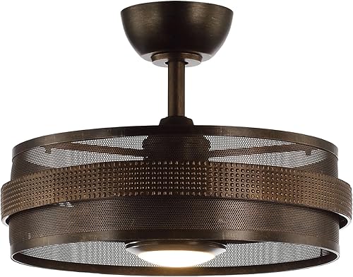 Miniatura 9 de Parrot Uncle Ventiladores de techo con luces y control remoto, ventilador de techo sin aspas con luz de ratán enjaulado, ventilador de techo, 24