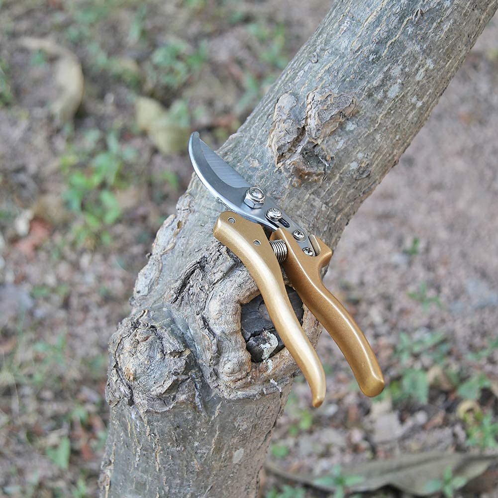 Cesoie per Alberi, cesoie da potatura, cesoie da Giardino Cesoie per Rami, cesoie per potatura a Mano, Nere