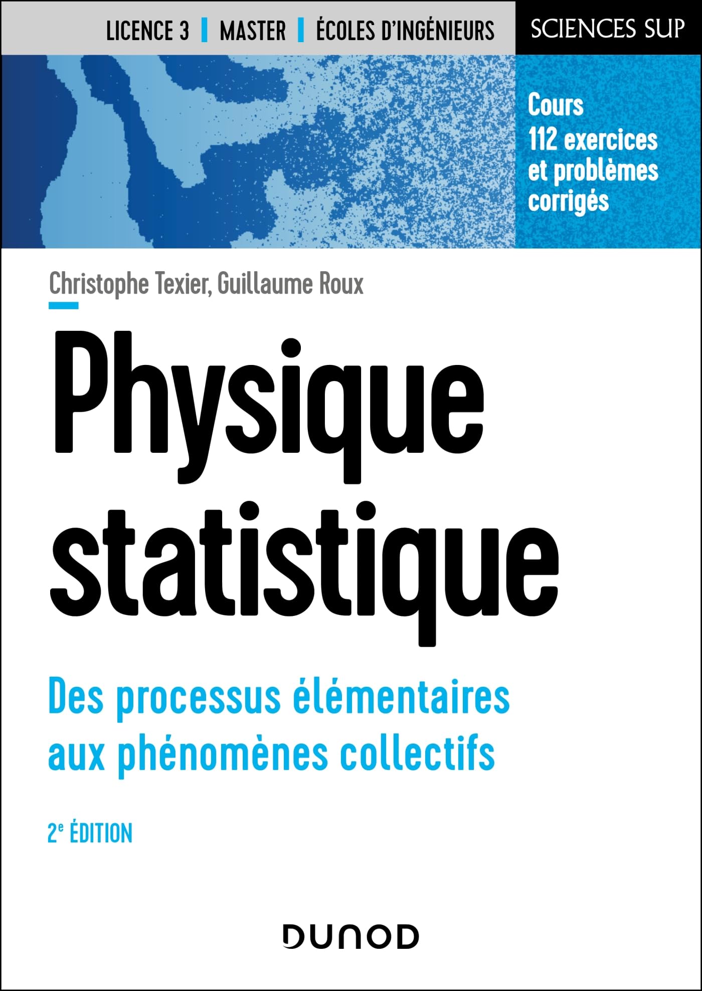 Physique statistique: Des processus élémentaires aux phénomènes collectifs