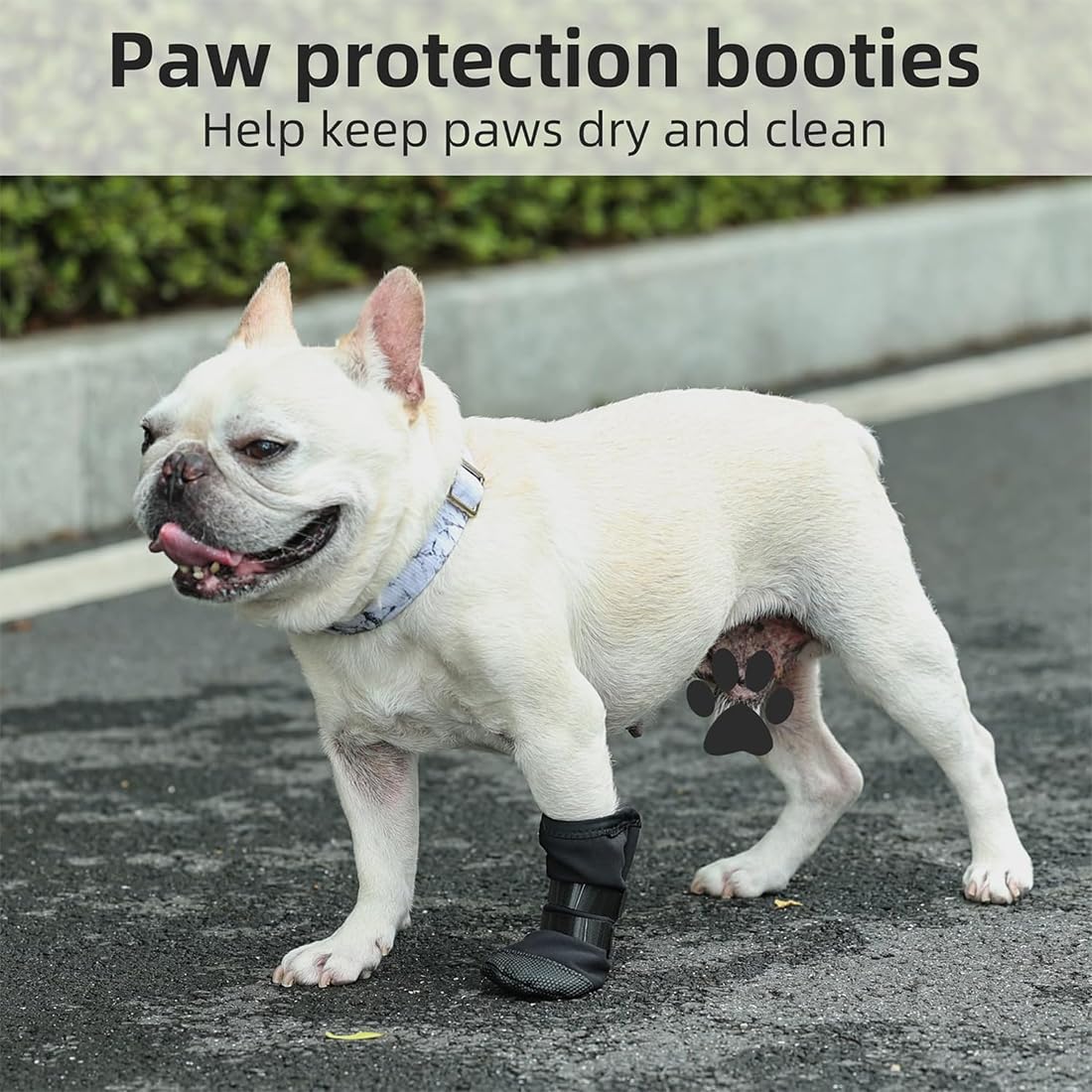 Chaussettes taille M pour pattes de chien, pour récupération post-op, empêchent léchage, imperméables antidérapantes, anti-fuite, chausson chien, chaussure chien