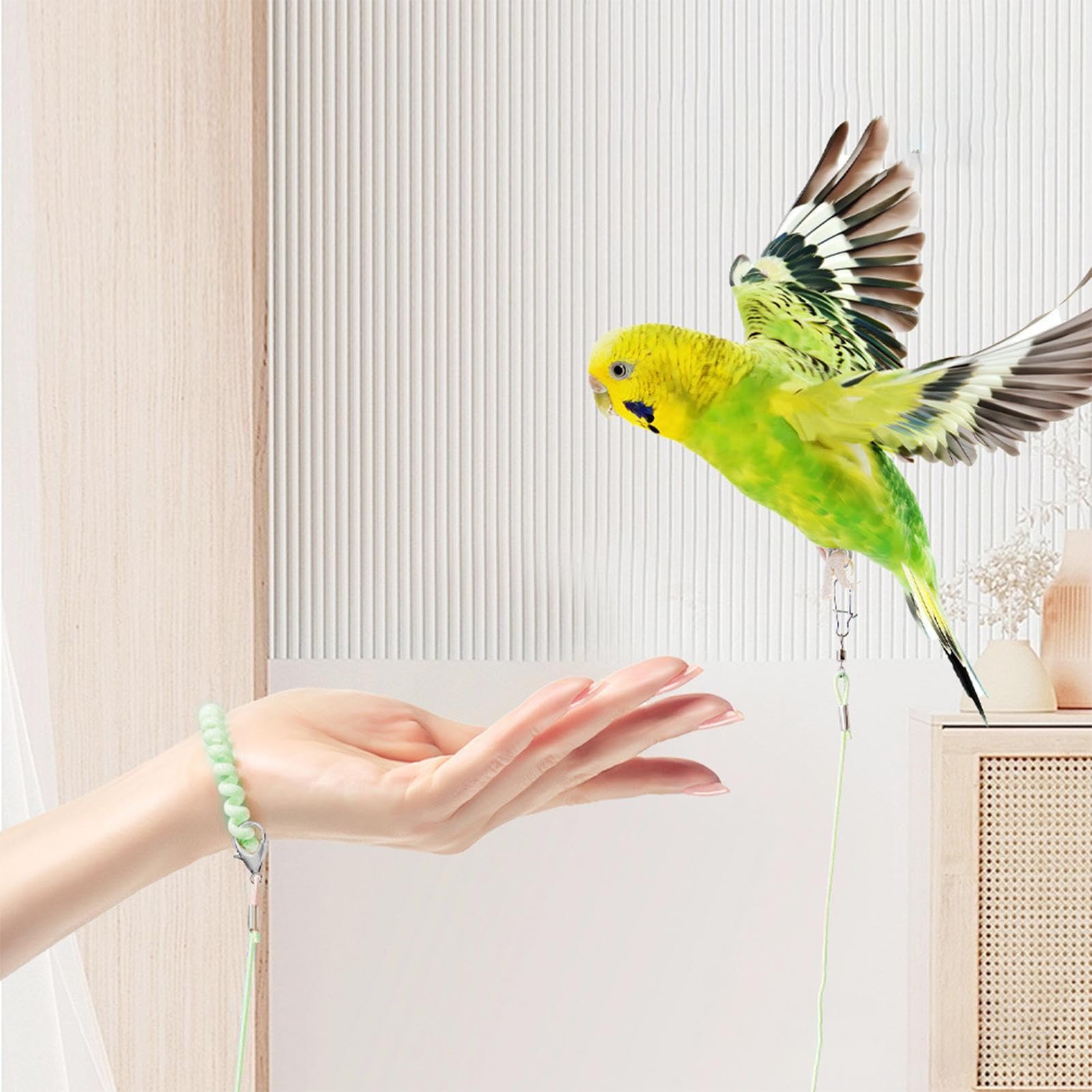 Corda volante per pappagalli, corda da addestramento per uccelli e animali domestici, resistente ai morsi, con anello alla caviglia, per terrazza, giardino, cortile