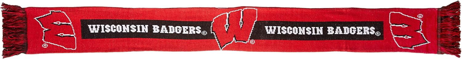 FOCO NCAA unisex College 2016 Big Logo Scarf