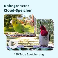 Birdfy 2 Pro Madáretető 2K Dupla Kamerával, Élő Madárfigyelés, AI Madárérzékelés, Vezeték Nélküli Etetőállomás, Lassított Videó, Automatikus 6