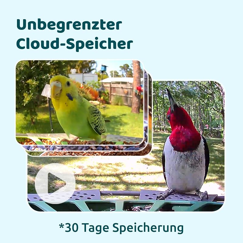 Birdfy 2 Pro Madáretető 2K Dupla Kamerával, Élő Madárfigyelés, AI Madárérzékelés, Vezeték Nélküli Etetőállomás, Lassított Videó, Automatikus