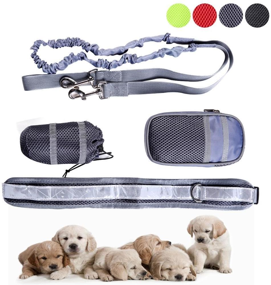 DAHAI FU CHINA UK 1Set Dog Belt Running Traction Belt