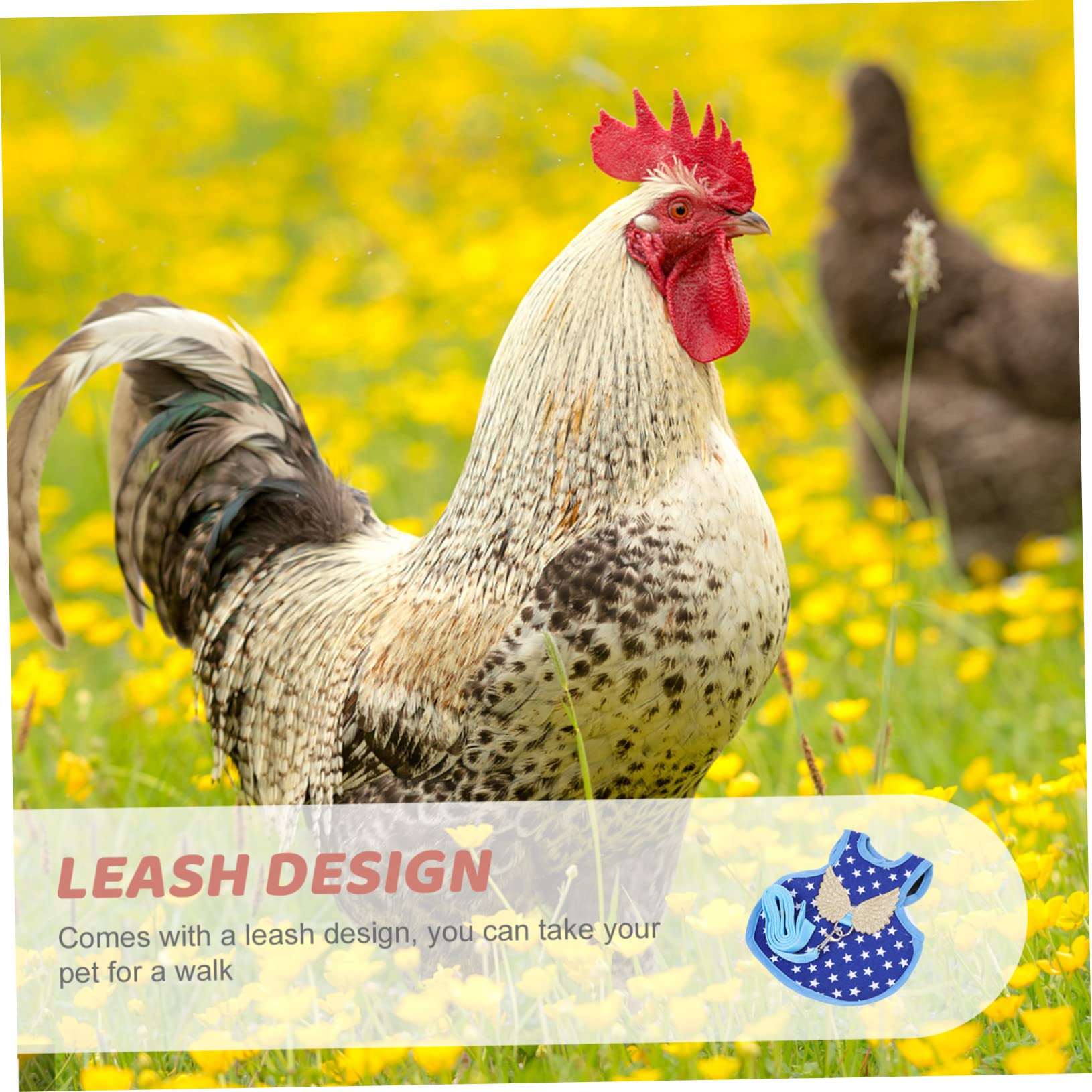 BESPORTBLE Adjustable Chicken Harness with Leash Durable Outdoor Hen Leash for Roosters and Ducks for Various Outdoor Activities Comfortable Fit for Pets