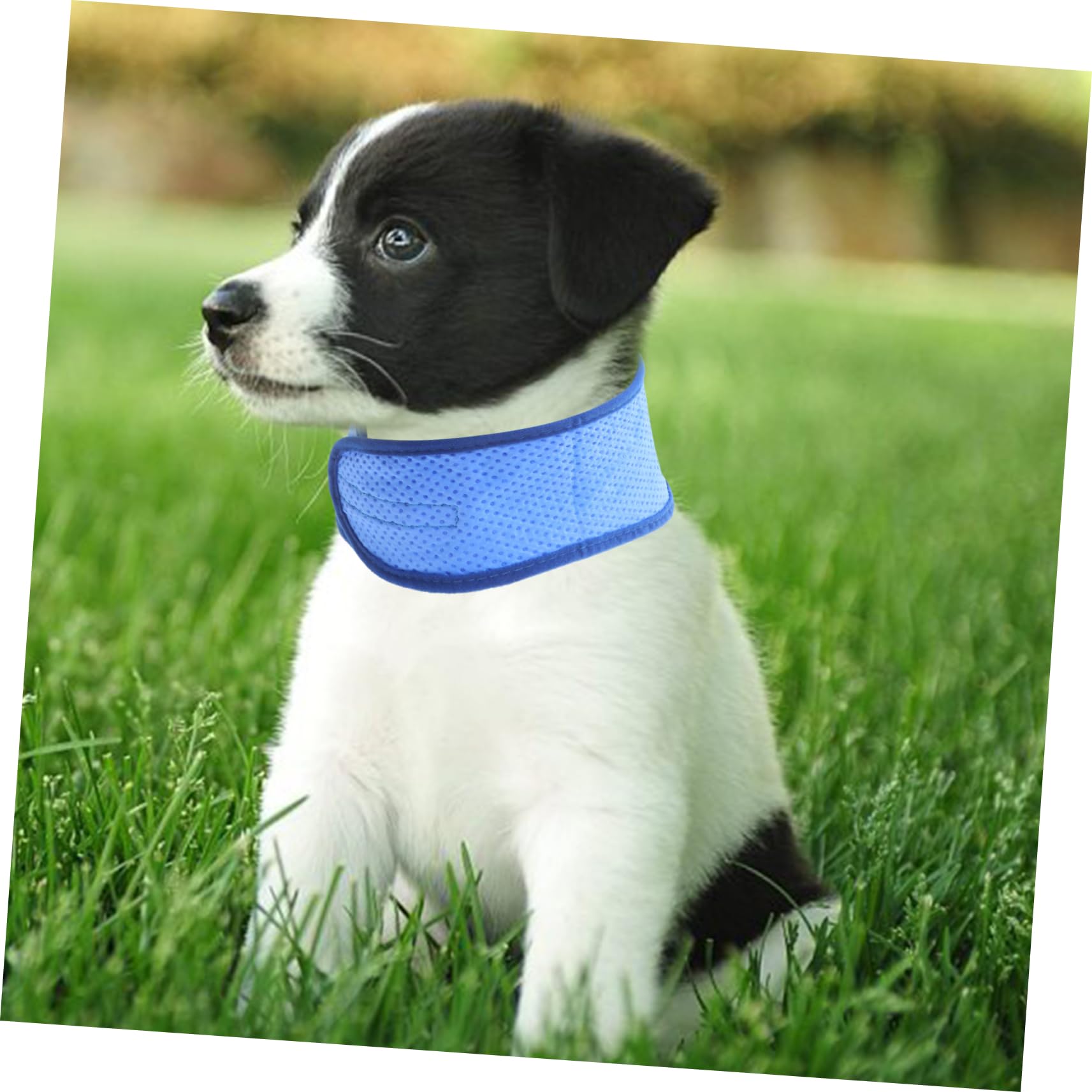 Kisangel 5stücke Kühlendes Hundehalsband Aus Atmungsaktivem Material Für Heiße Sommertage Bietet Angenehme Kühlung Für Hunde Mit Dickem Fell Zufälliger Stil