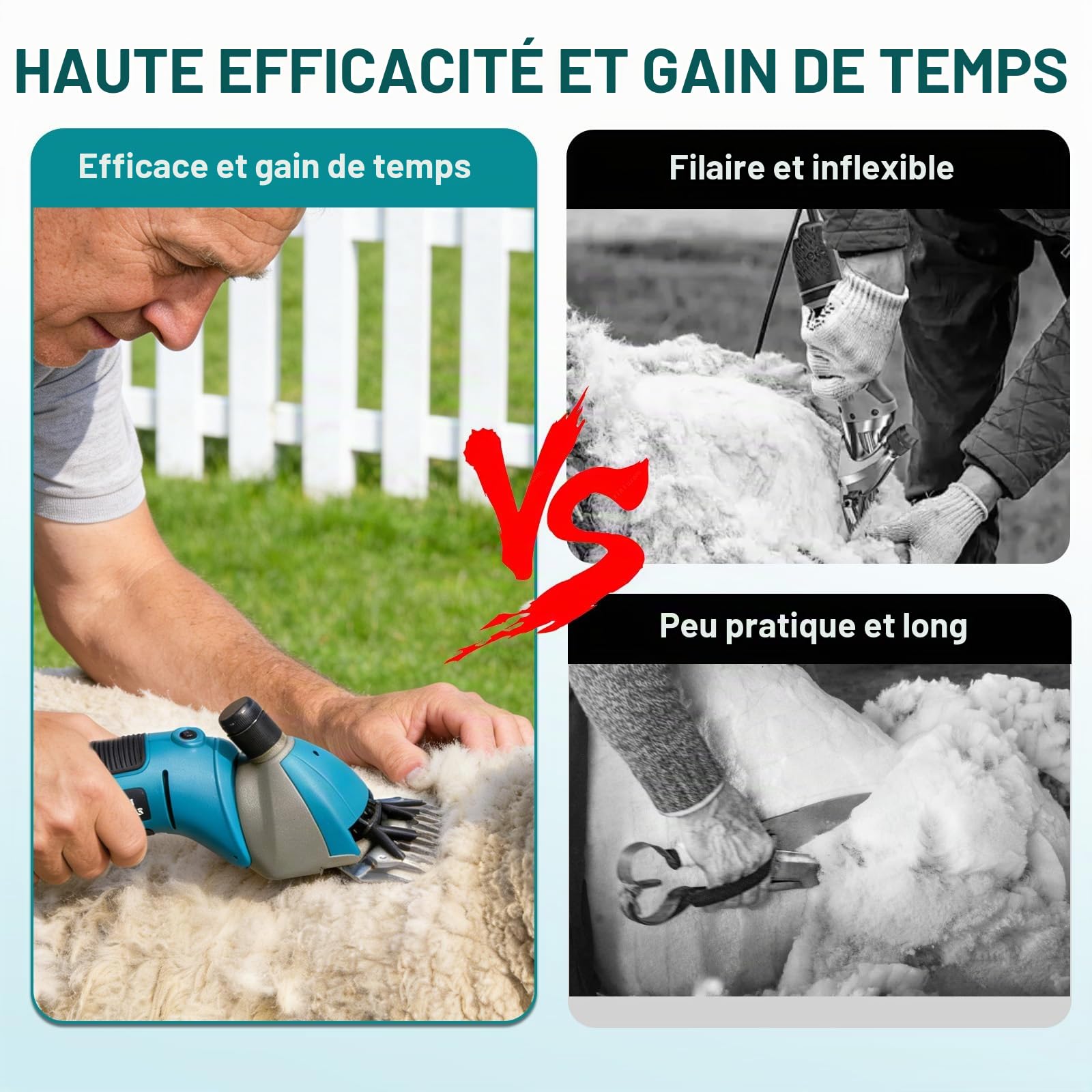 Yofidra Tondeuse à moutons sans fil 800 W - Tondeuse Mouton électrique avec moteur sans balais, 3000 tr/min, 2 batteries de 3000 mAh, griffe réglable, pour moutons, alpagas et chèvres, bleu