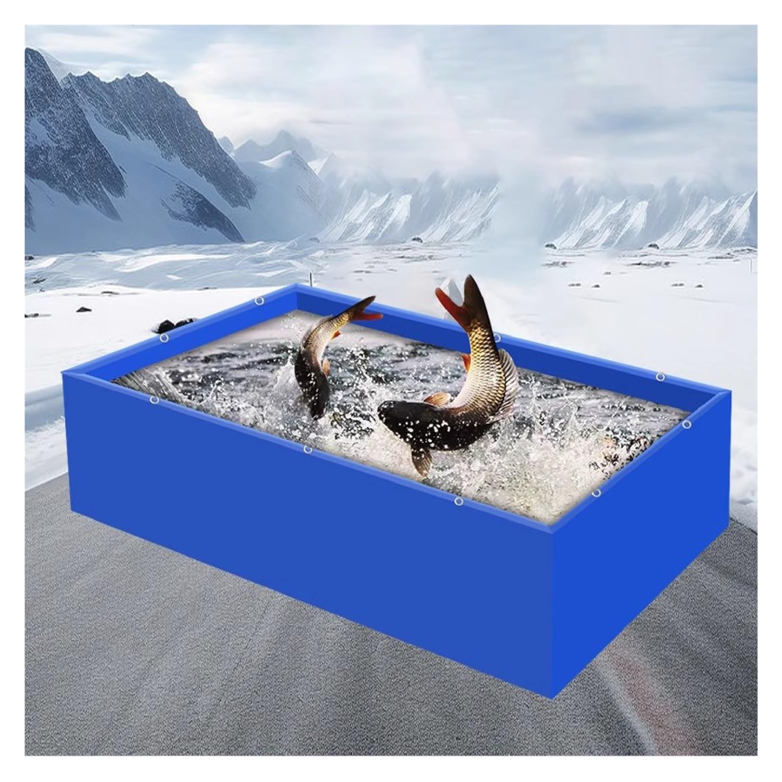 Bâche imperméable pour bassin à poissons, stockage d'eau et élevage d'écrevisses 2x3m