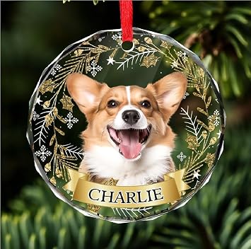 Personalized Memorial Pet Glass Ornament - Custom Photo, Name & Dates Coloful-9