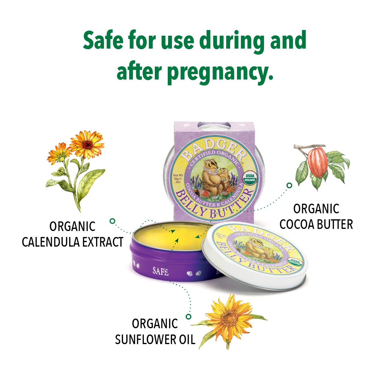 Badger Belly Butter, Cocoa Butter & Calendula, Certified Organic