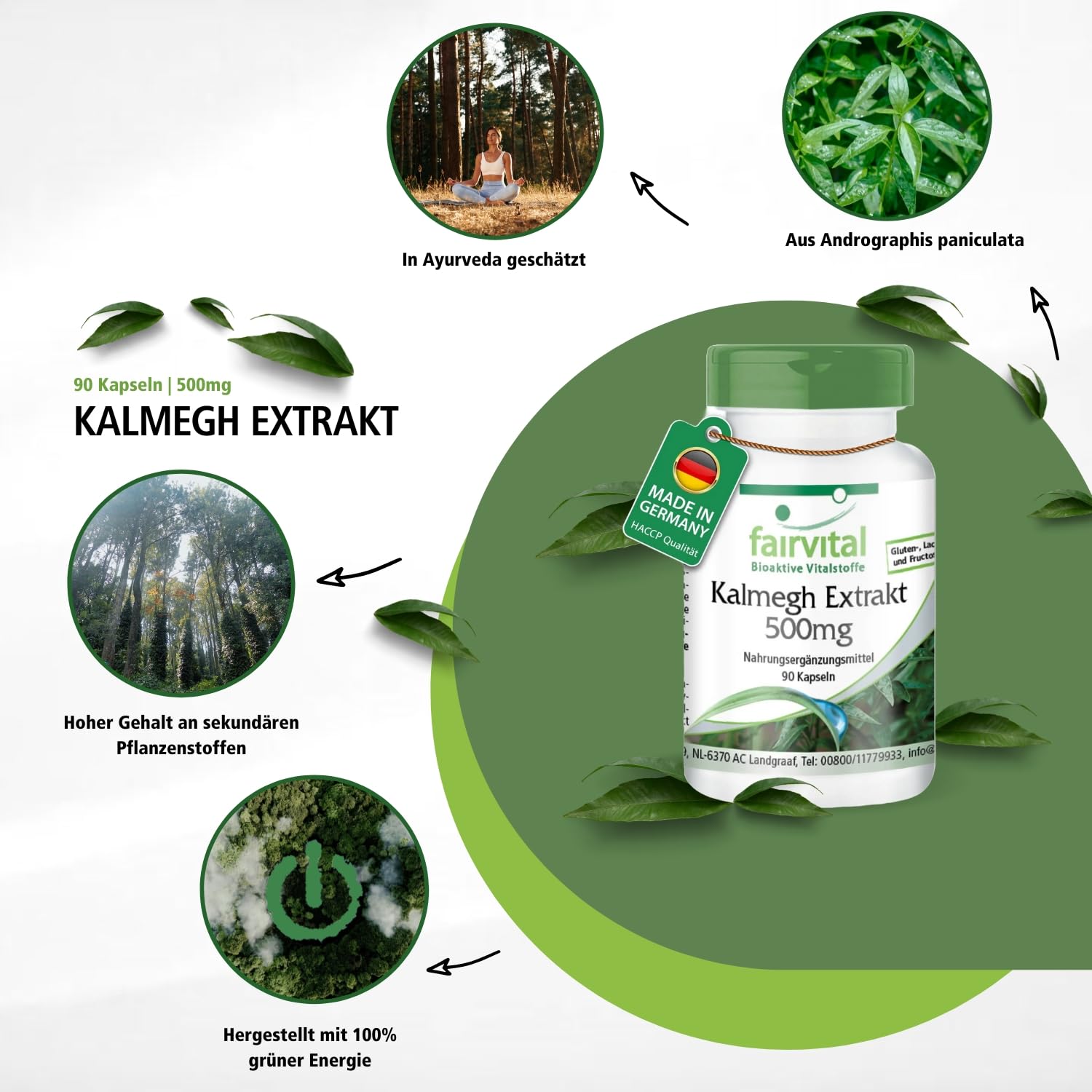 fairvital Kalmegh Extrakt 500 mg, 90 Kapseln 5-fach konzentrierter Extrakt aus dem Kalmegh-Blatt, für 3 Monate, qualitätsgeprüft und hoch dosiert, 100% vegan, Made in Germany