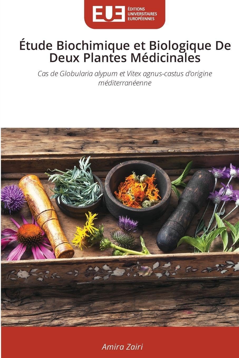 Étude Biochimique et Biologique De Deux Plantes Médicinales: Cas de Globularia alypum et Vitex agnus-castus d'origine méditerranéenne