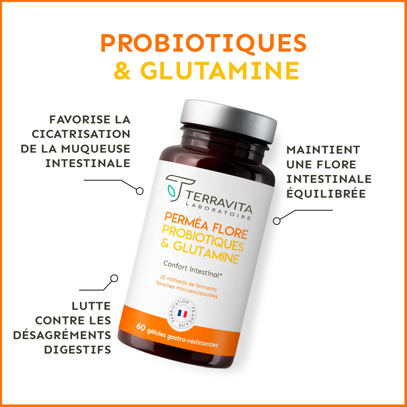 Permea Flore | PROBIOTIQUES + GLUTAMINE | Flore Intestinale et Cicatrisation de la Muqueuse | Idéal Contre la Perméabilité Intestinale | 60 Gélules Gastro-résistantes | Made in France | Terravita