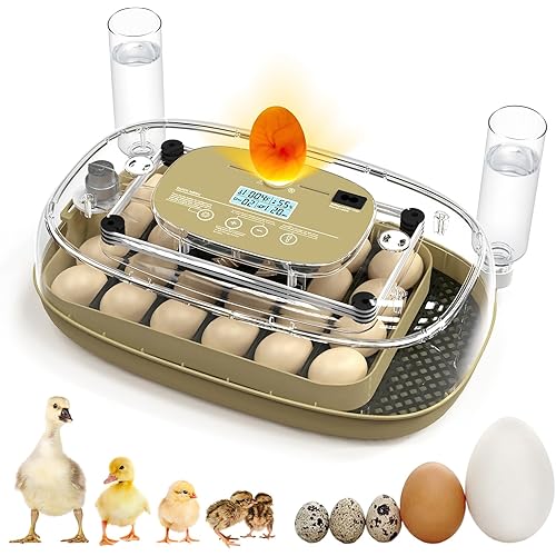 24 Egg Incubator for Hatching Eggs with Temperature and Humidity Control, Auto Turning & LED Candling for Chicken Duck Quail Birds, Ideal for Home Farm, Classroom, Beginners
