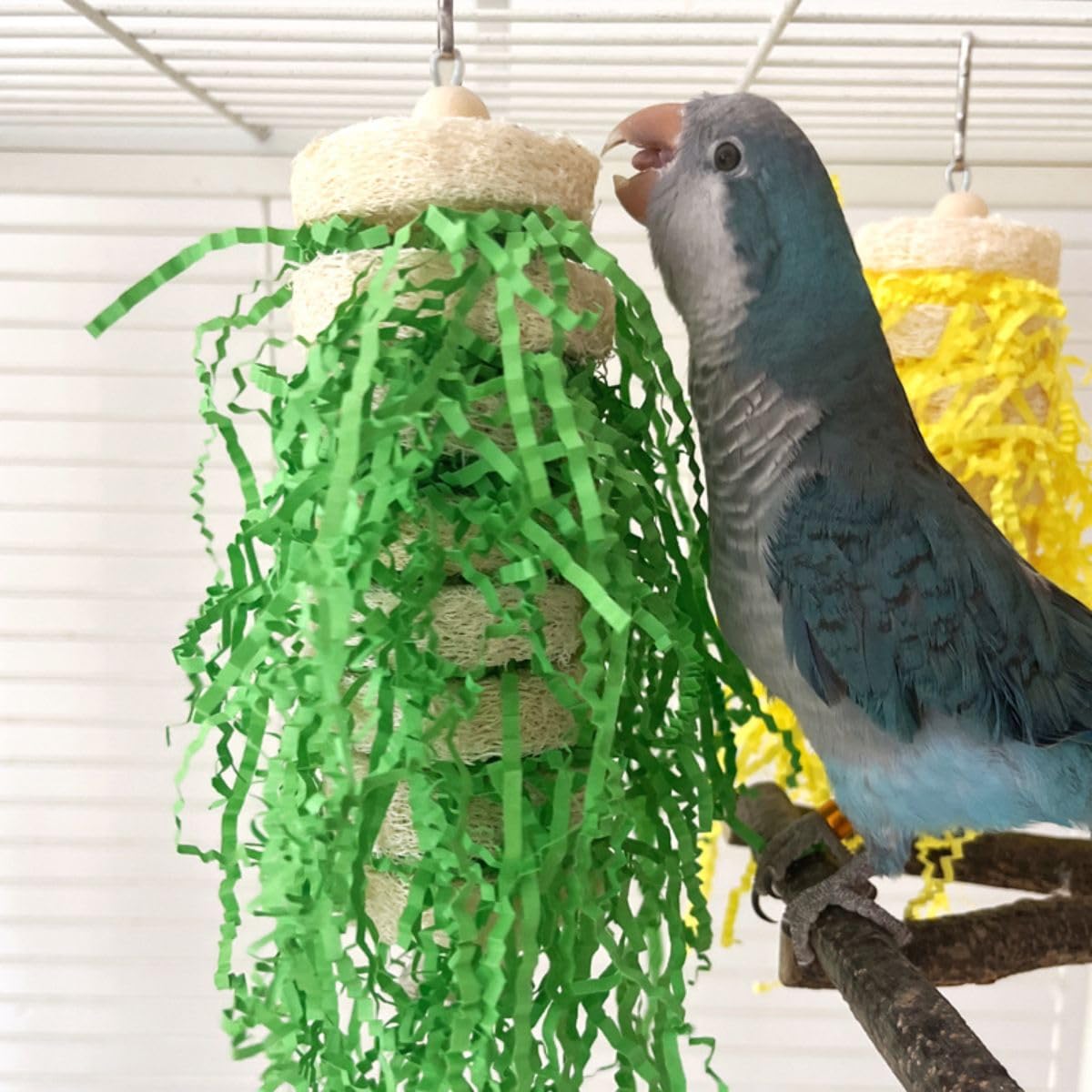 5-Pack Parrot Shredding Toys - Bird Chewing & Foraging Toys For Medium Birds
