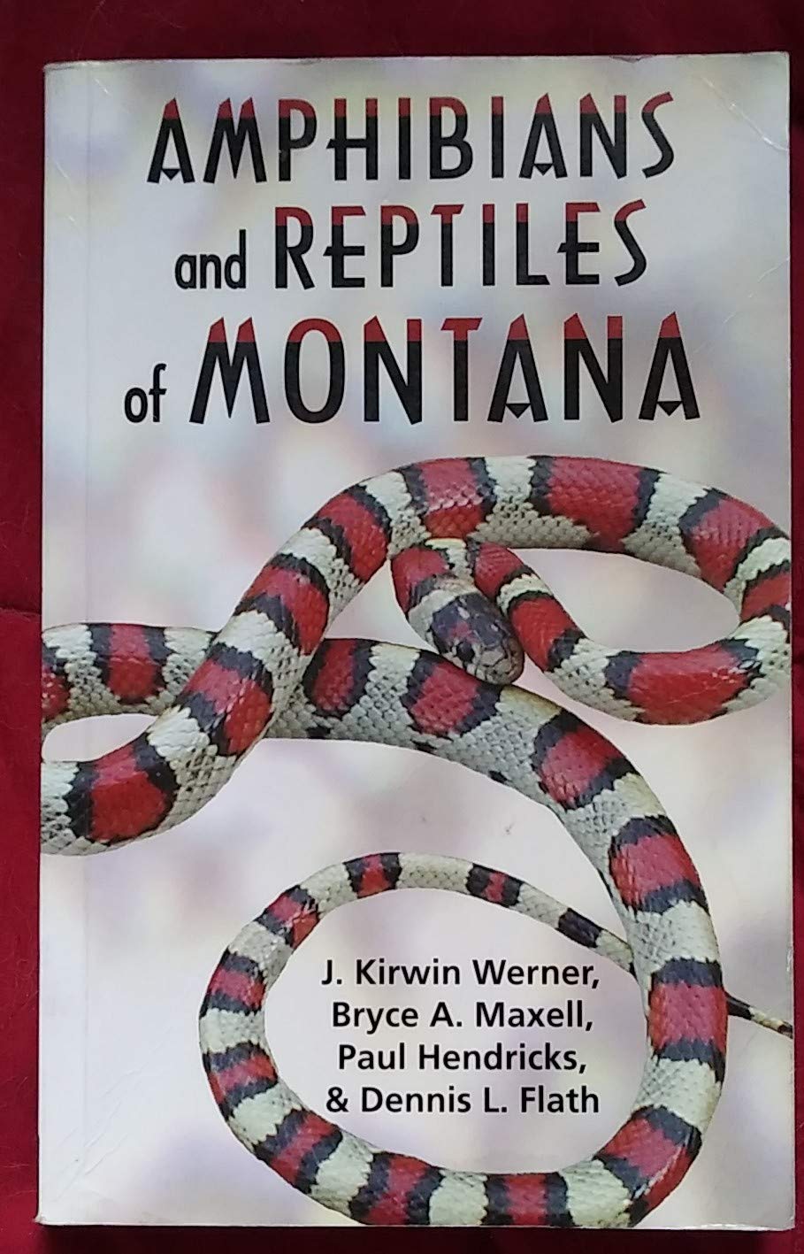 Amphibians and Reptiles of Montana
