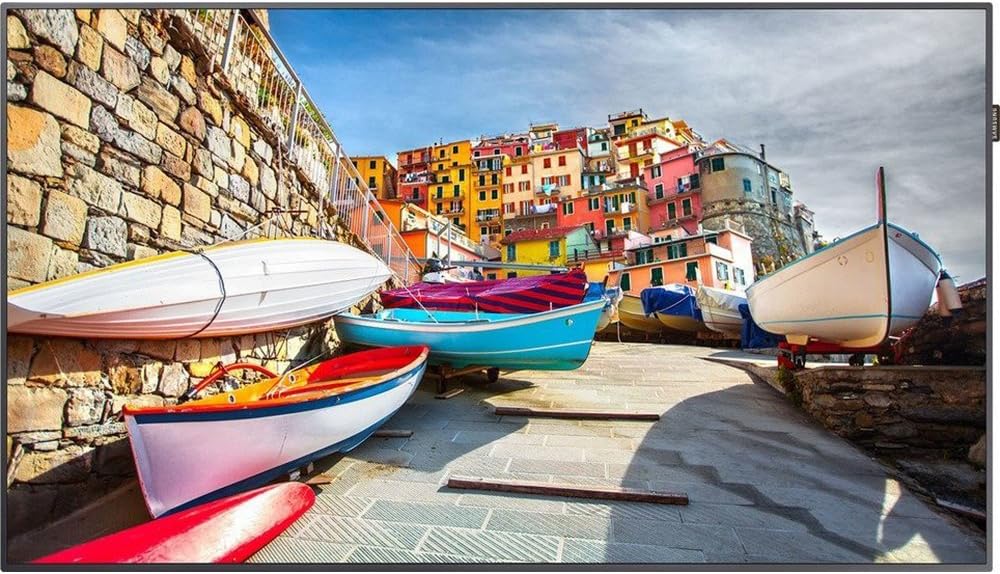 PM55H 55 Inch Full HD Smart LED Display