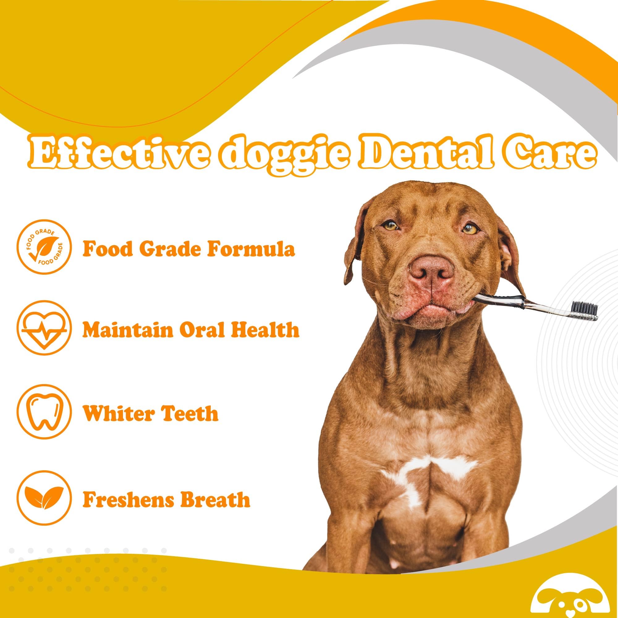 PetnBeyond Dog Toothpaste - Poultry Flavor Teeth Brushing Cleaner, Pet Breath Freshener, Oral Care, Professional Pet Toothpaste for Dogs and Cats. Controls Plaque, Tartar, Bad Breath, Reduces Plaque - image 3