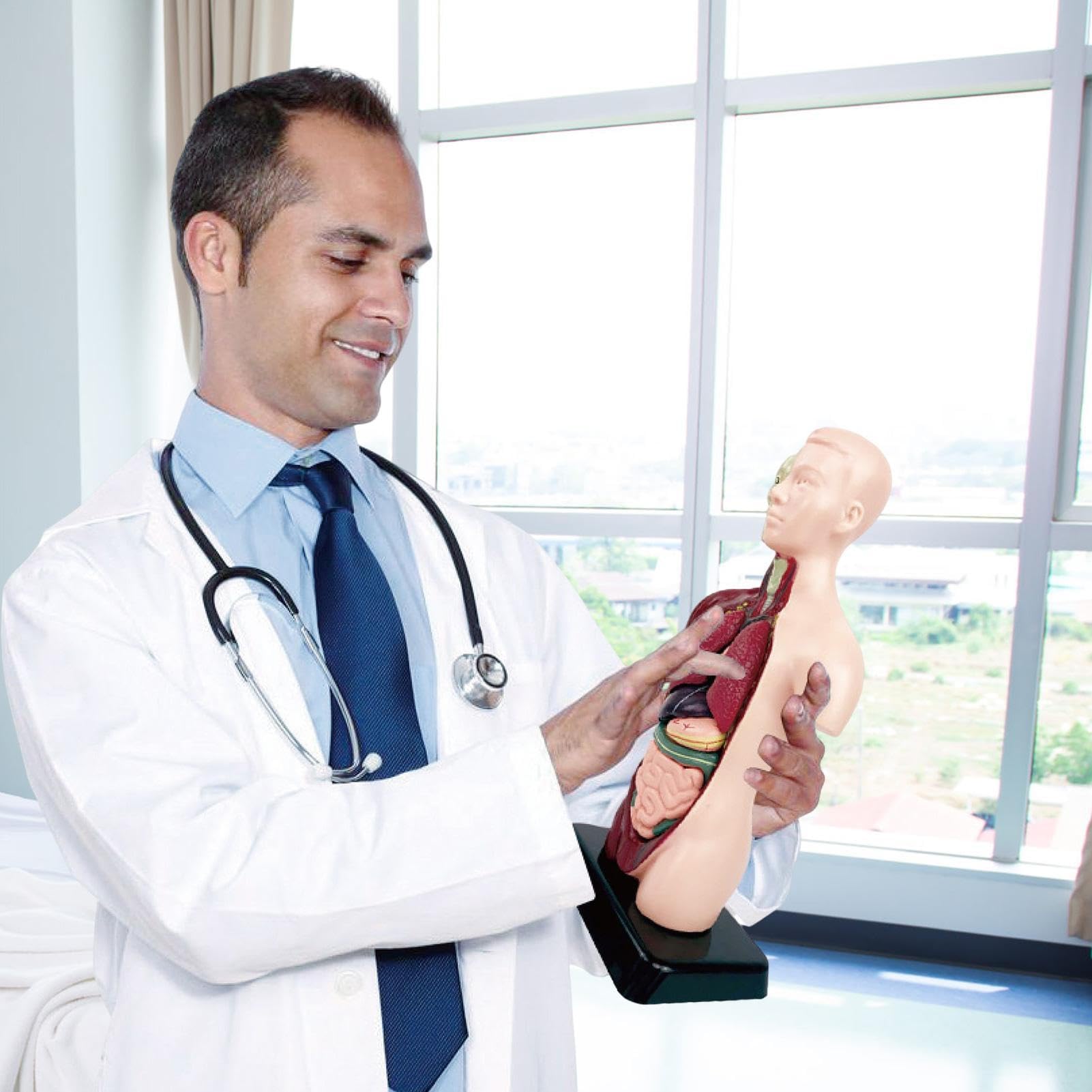 Model anatomii ciała człowieka, realistyczny zestaw do nauki, interaktywne narzędzie do nauki anatomii, model szkieletu w stylu akademickim, materiał edukacyjny dla uczniów szkół i nauczycieli domowyc