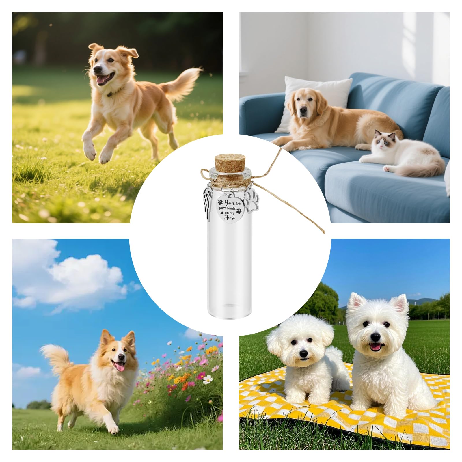 3 Stück Glas für Tierhaare, Aufbewahrung Hundehaare, Erinnerung Hund & Katze, Erinnerungsglas für Tierhaar Medaillon Zum Befüllen, Haustier urne, Tierhaar Erinnerung